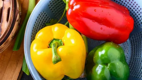 تصویر 4 از فلفل دلمه سبز و رنگی درشت براق یکدست